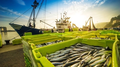The European fishing industry wants to join farmers’ protests