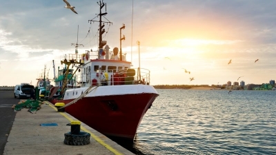 EU must protect fishing industry from unfair competition, study warns