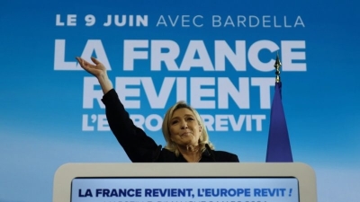 New anti-immigration candidate to feature on Le Pen’s EU list