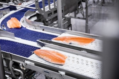Call for a science-based regulation for food safety in the European fish processing industry
