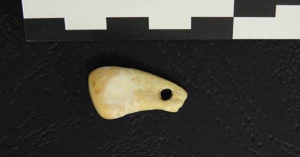The pendant is 20,000 years old - Ancient DNA shows who wore it