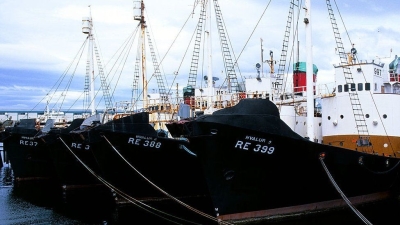 Iceland whaling: Fisheries minister signals end from 2024