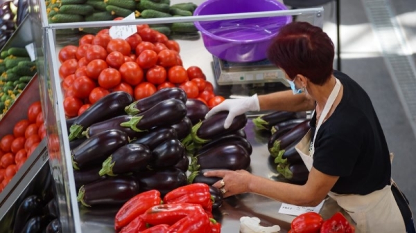 Romania revives state-owned company aiming to build fruit, veg network