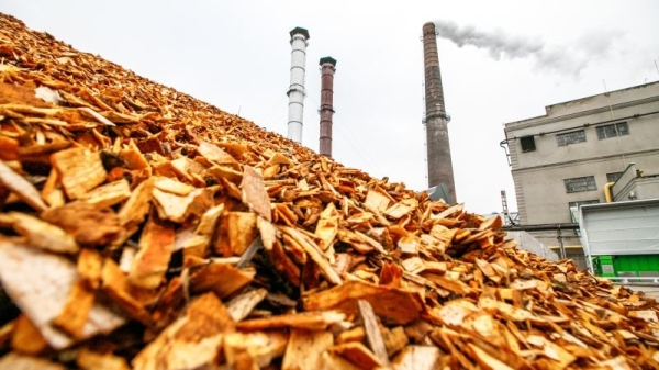 Will the EU’s renewables directive change the landscape for forest biomass?