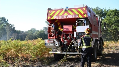Belgium hit by forest fire, German firefighters help