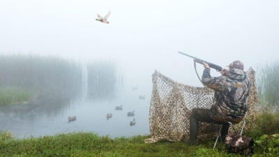 EU member state funds being wasted as Malta pushes ahead with bird hunting