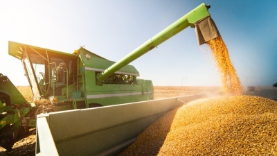 Ukrainian grain transits through Romania as export licences effective