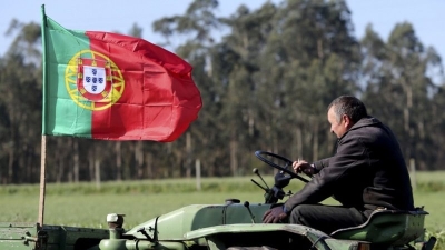 Portuguese farm boss: Brussels protest pointless if EU rules don’t change