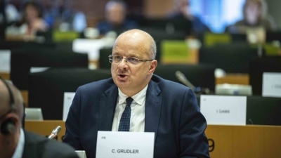 Pro-nuclear MEPs defy EU Parliament on electricity market reform