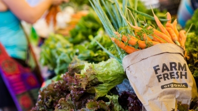 EU needs to stimulate demand for organic food, stakeholders say