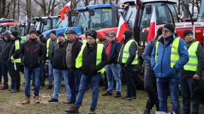 Eastern European farmers to jointly protest against EU agricultural policy