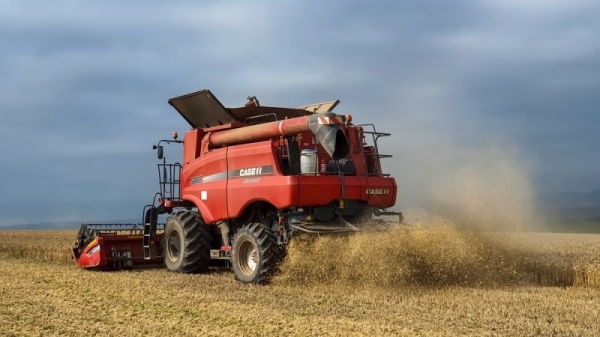 Romanian agriculture faces collapse amid mass Ukrainian grain imports