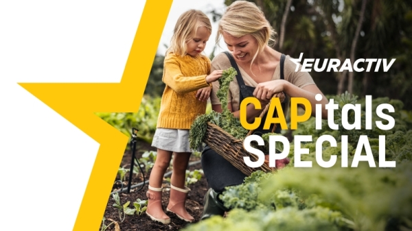 Agrifood Special CAPitals Brief: Women in agriculture