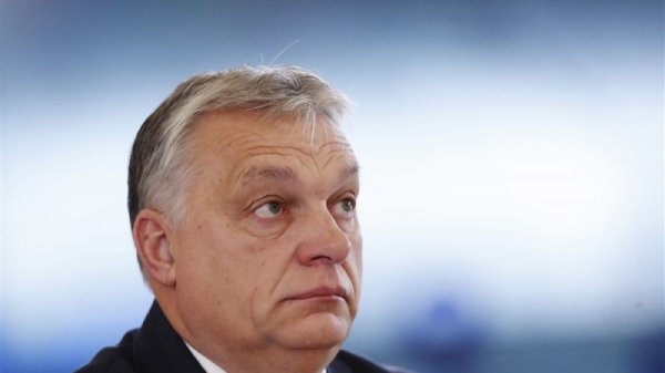 Hungary ‘unfit’ to hold EU presidency, warn MEPs