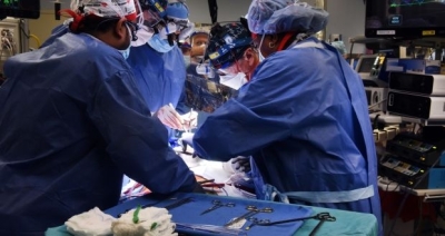 US man recovering after first-of-its-kind pig heart transplant